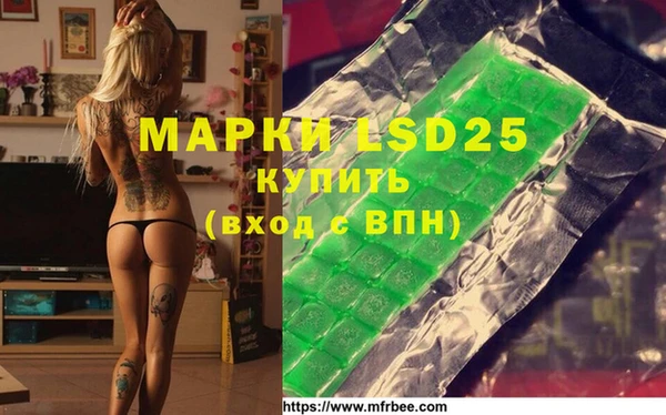 шишки Бронницы