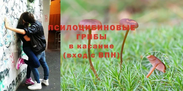 мдма Россошь