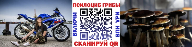 Галлюциногенные грибы Psilocybine cubensis  купить  цена  Тамбов 